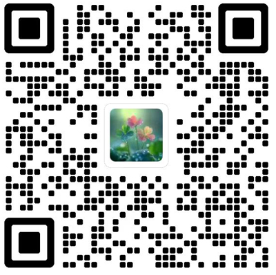 Journal of Southeast University(English Edition)杂志模板